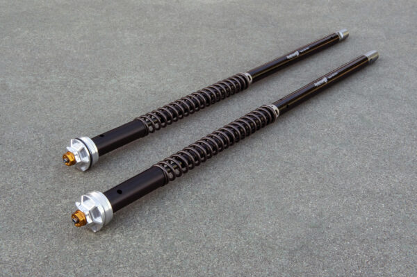 Andreani Misano Evo BMW F650 GS 00-12 - (Marzocchi 41) - immagine 4