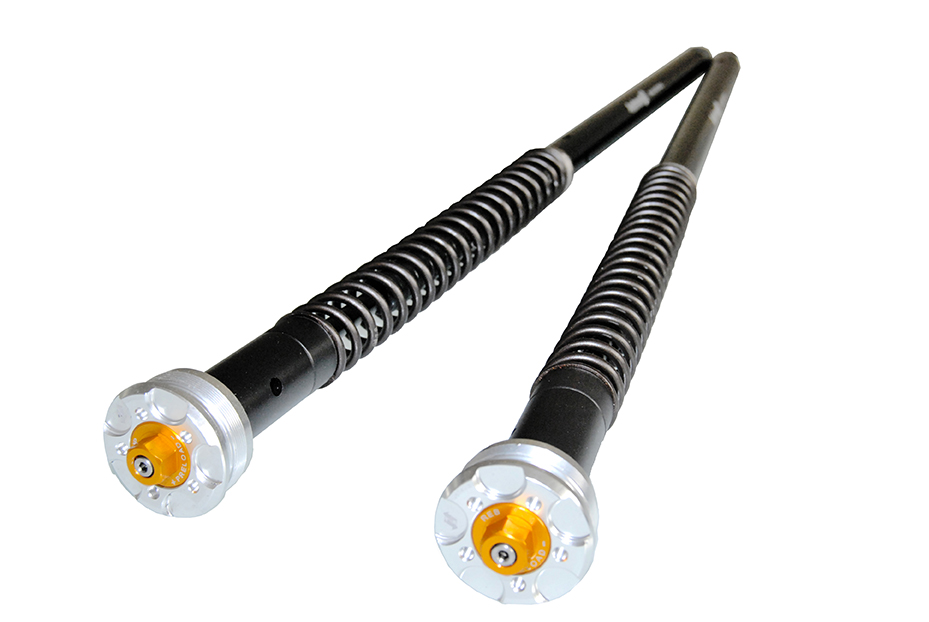 Andreani Misano Evo 2 - Moto Guzzi DAYTONA 1000 92-99 - (fork Marzoc
