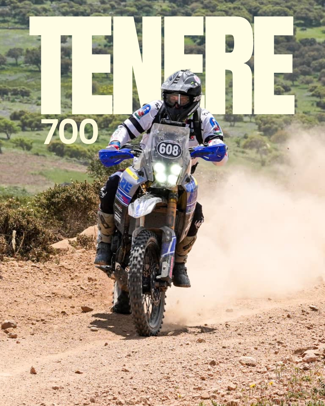 FORCELLA YAMAHA TENERE 700 - OHLINS RXF48 + PIASTRE - immagine 5