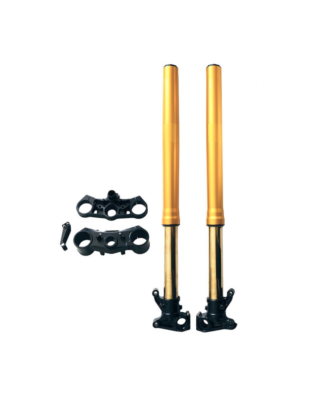 FORCELLA BMW R12 G/S 2025- / OHLINS RXF 48 + PIASTRE