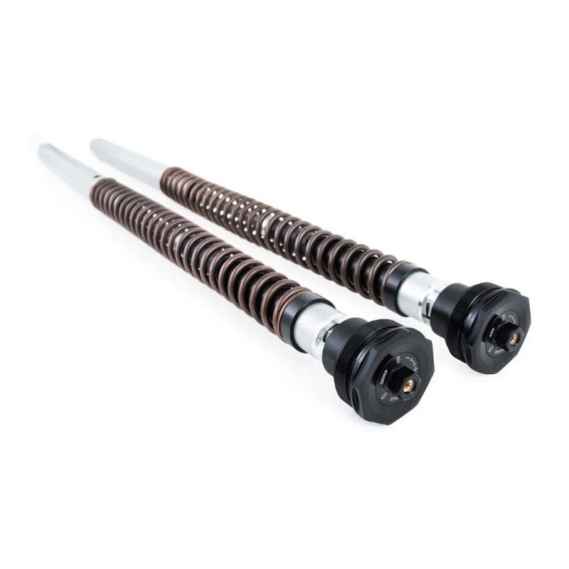 Cartuccia Ohlins Harley-Davidson Pan America 1250 (Showa) - Image 3
