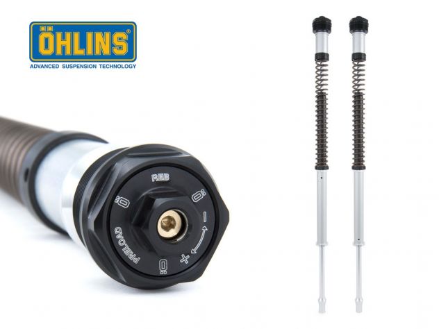 Cartuccia Ohlins Harley-Davidson Pan America 1250 (Showa) - Image 4