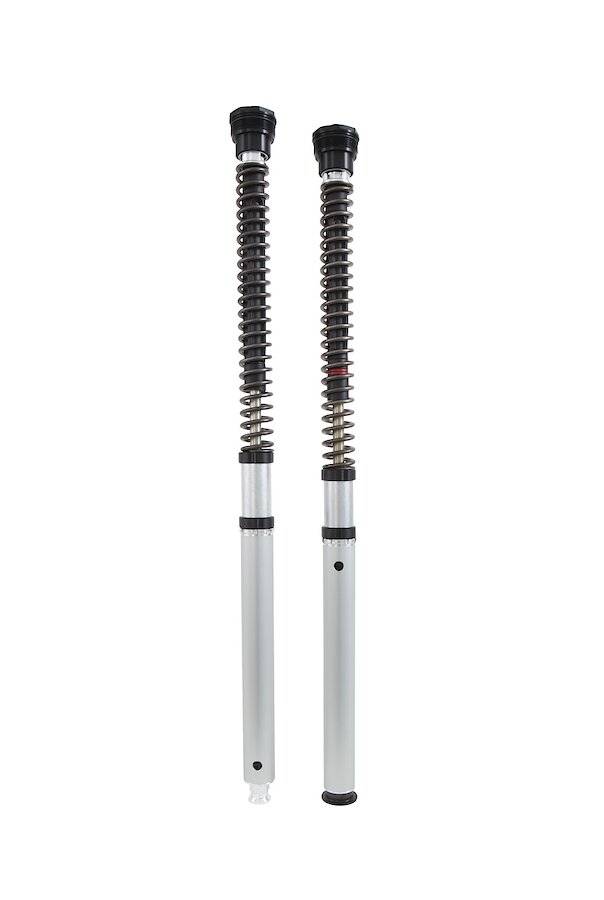 CARTUCCIA INDIAN FTR 1200 / S / RALLY (Sachs FORK) - MODELLO NIX 30 STRE - immagine 3