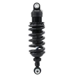 BMW RnineT Scrambler/Urban GS / -2020 / S46DR1L BLACKLINE - Long version