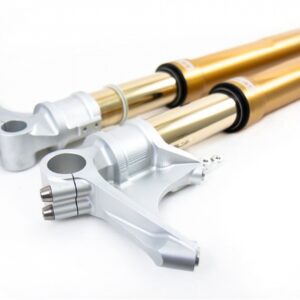 FORCELLA OHLINS BMW S1000 RR 2019-20 - FG R&T 43 GOLD - NIX