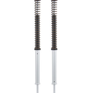 H.D. Softail Fat Boy OHLINS - CARTUCCIA NIX 22 Fornite con 2 set di molle