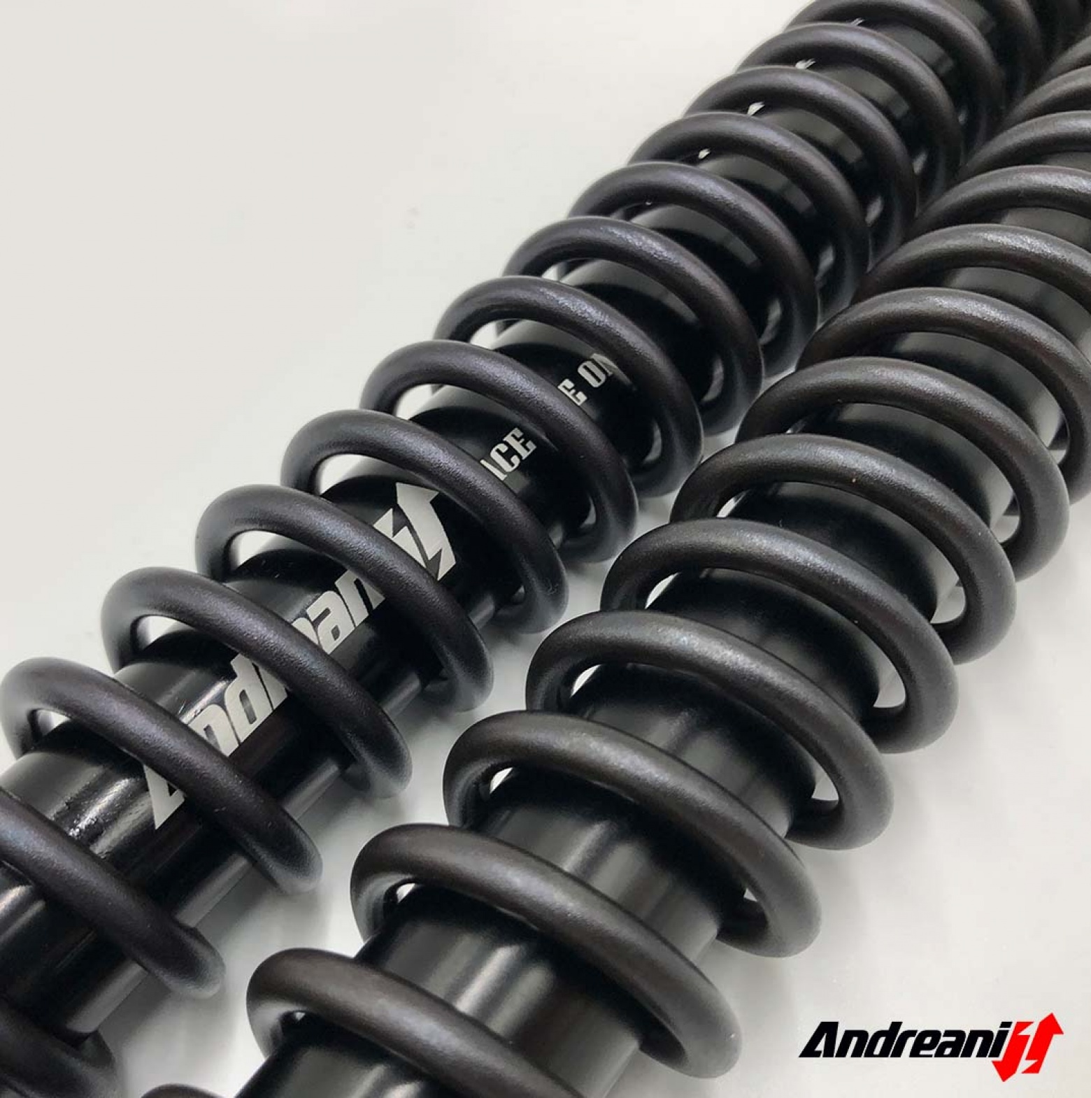 Andreani Misano Rally Race BMW F 450 GS / 2026- / Low -20 mm / Kayaba 43 - immagine 3